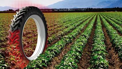 c/х шина на поле c/х шина на поле